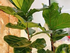 -森野花艺培训·企业团建活动沙龙