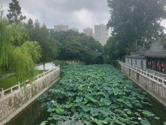 -水绘园