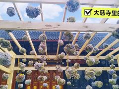 -古大圣慈寺
