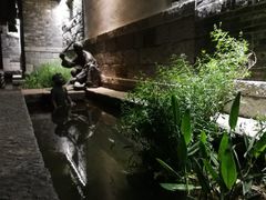 -梧桐餐厅(泉城路店)