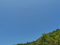 -花岩国家森林公园