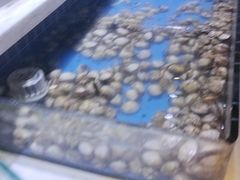 -聚盛源蒸汽海鲜火锅烤肉自助(巨川金海岸购物广场店)