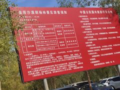 -金塔沙漠胡杨林景区