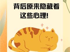 -博特宠物医院24h犬猫全科.骨科·异宠