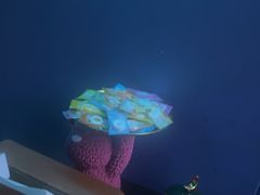 -立里春天印象·影院足疗轻养SPA(二十四城店)