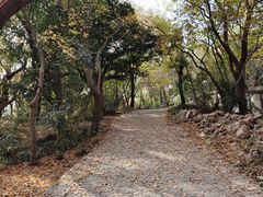 -宝通禅寺