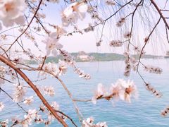 -颐和园