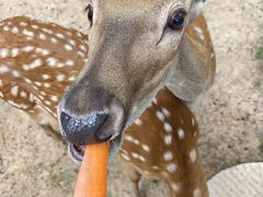 -观唐（国际）度假村温泉