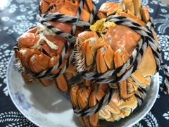 -乡乐园蟹庄·阳澄湖农家乐