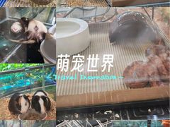 -凯德广场(学府店)