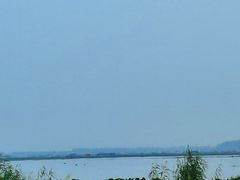 -七的湖·晚芳亭·阳澄湖农家菜·大闸蟹(莲花岛店)