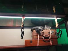 -猫咪博物馆(顶澳仔猫街店)