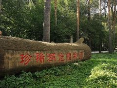 -黑龙江省森林植物园