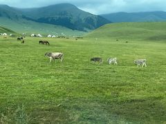 -新疆那拉提国家旅游度假区