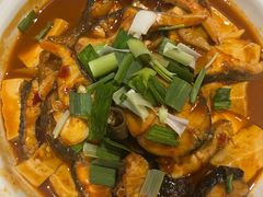 -刘胖子家常菜·蹄花焖藕(中南店)