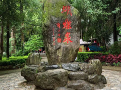 -蝴蝶泉公园