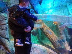 -沈阳海洋探索中心