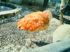 -青藏高原野生动物园