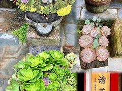 -寂照庵