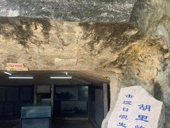 -胡里山炮台