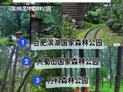 -合肥滨湖国家森林公园