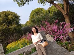 -南汇桃花村