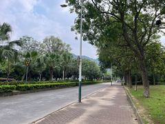 -风云岭森林公园