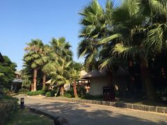 -厦门日月谷温泉渡假村