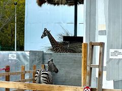 -水上乐园·欢乐世界