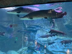 -泉城欧乐堡海洋极地世界