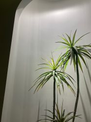 -VE小颜皮肤管理&科学美肤中心