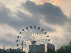 -万绿园