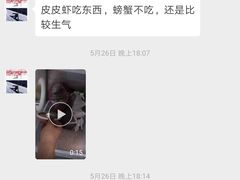 -宠福鑫动物医院·动物疾病诊疗中心(天通苑店)