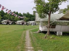 -上海海湾国家森林公园