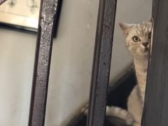 -不舍昼夜咖啡馆
