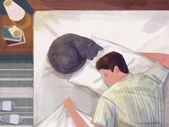 -深圳正夫口腔医疗管理连锁有限公司温莎口腔门诊部(东门店)