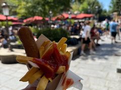 -巴黎迪士尼乐园