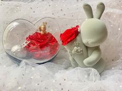 -ROSEONLY诺誓(广州K11店)