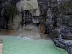 -吴淞炮台湾湿地森林公园烧烤区