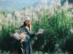 -广西壮族自治区药用植物园