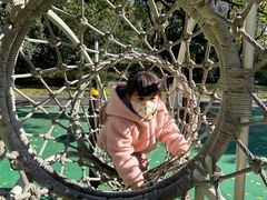 -苏州河梦清园环保主题公园