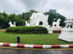 -清迈夜间动物园