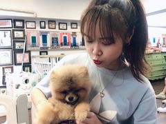 -柯斗斗主题餐厅·狗咖·围炉煮茶·茶饮(国瑞升平里店)