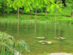 -云溪植物园