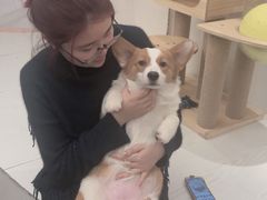 -浣熊柯尔鸭土拨鼠·电玩咖