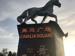 -cavalia·舞马