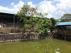 -邹记·美食(斗门店)