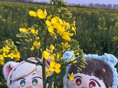 -汉长安城未央宫国家考古遗址公园