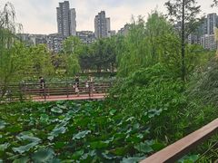 -沐仙湖湿地公园