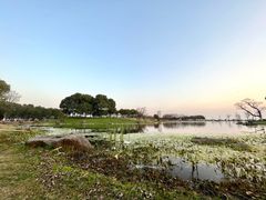 -滆湖低碳生态公园